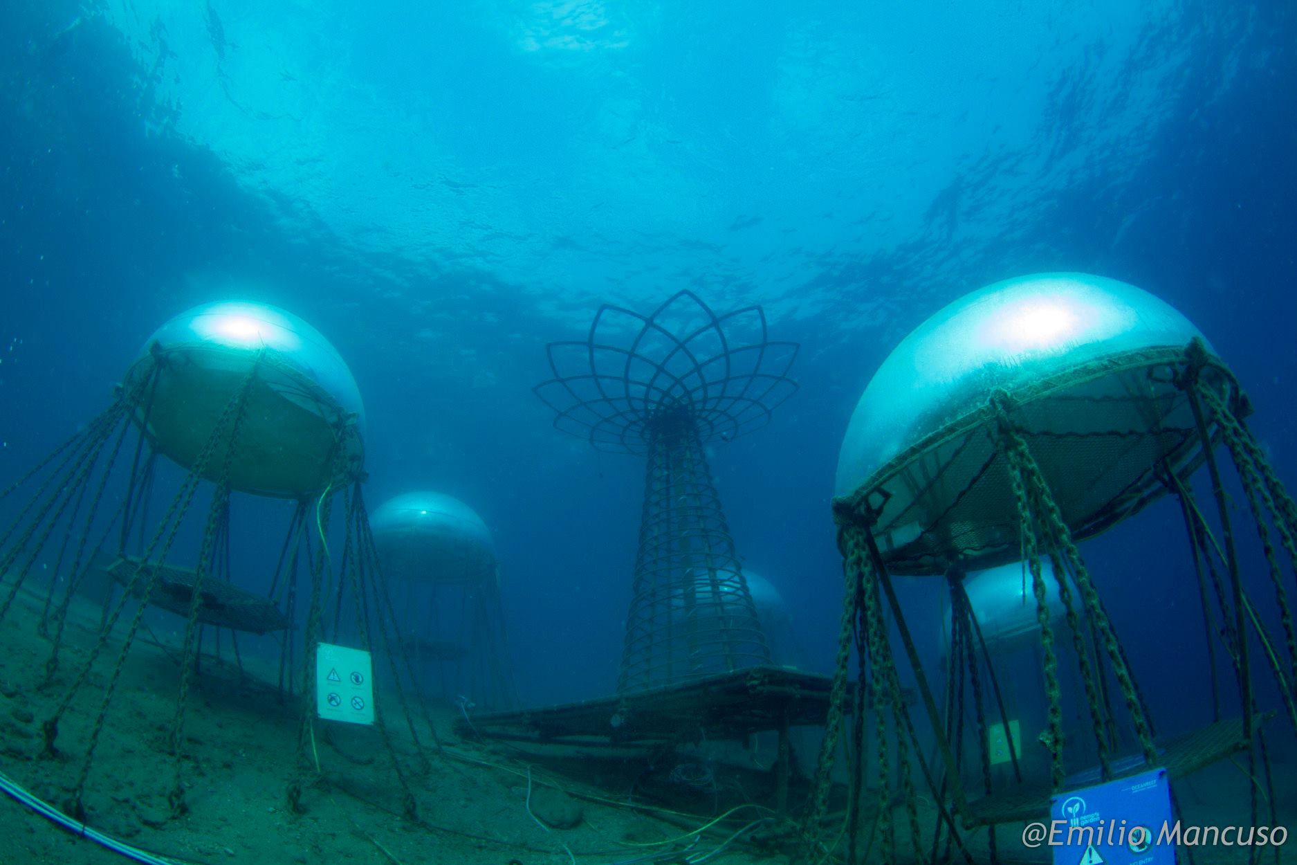World’s First Underwater Farm