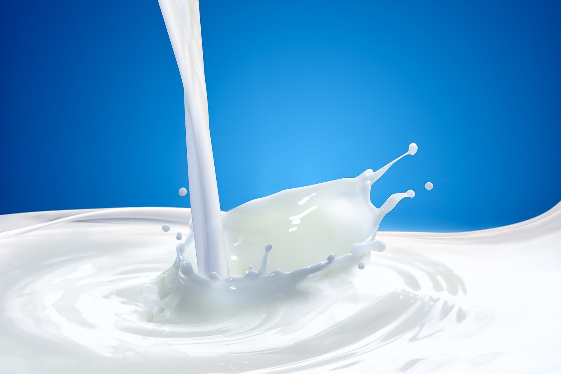 Hình ảnh Nền Bò Sữa Bò Sữa Vector Nền Và Tập Tin Tải về Miễn Phí  Pngtree