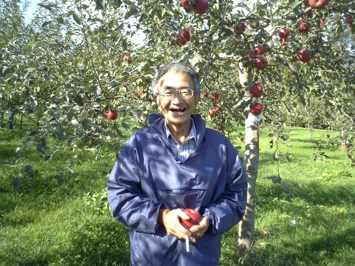 Ông Kimura tại vườn táo hoàn toàn không hóa chất của mình