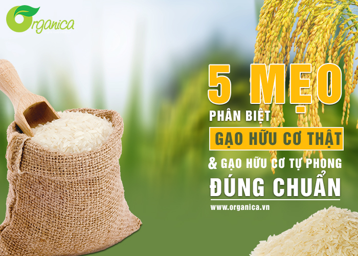 5 mẹo phân biệt gạo hữu cơ thật và gạo hữu cơ “tự phong” đúng chuẩn
