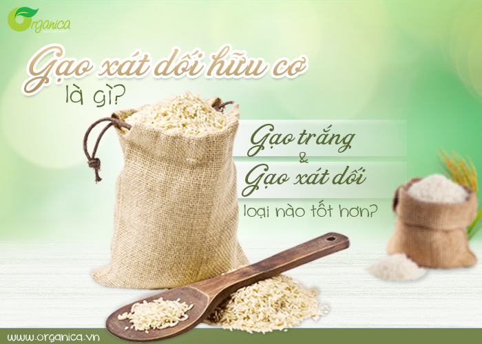 Gạo xát dối hữu cơ là gì? Gạo trắng và gạo xát dối, loại nào tốt hơn?