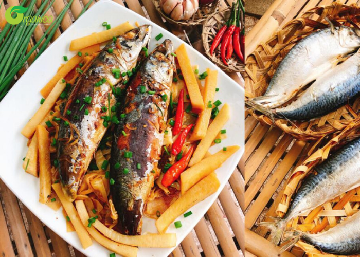 Hướng dẫn nấu 20 món ăn từ cá siêu ngon cho mâm cơm thêm hấp dẫn | Organica 15
