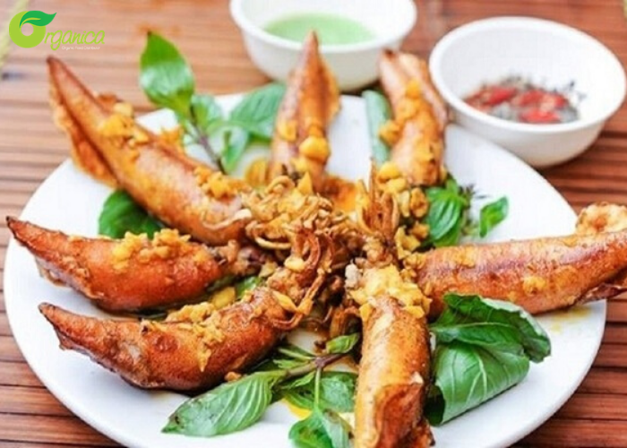 13 món ăn từ mực ngon quên sầu, bạn đã thử chưa? | Organica 2