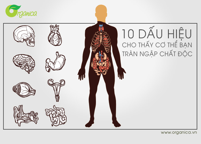 10 dấu hiệu cho thấy cơ thể bạn đang tràn ngập chất độc