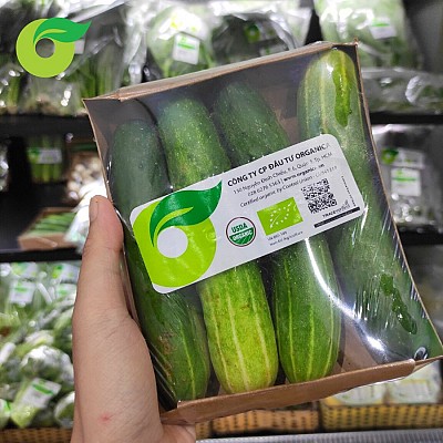 Organic Cucumber - Organically Grown