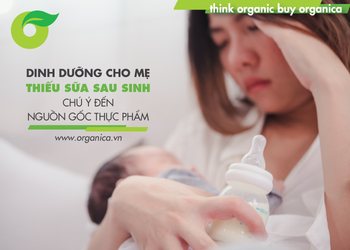 Dinh dưỡng cho mẹ thiếu sữa sau sinh: Chú ý đến nguồn gốc thực phẩm