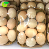 Free-Range Chicken Eggs