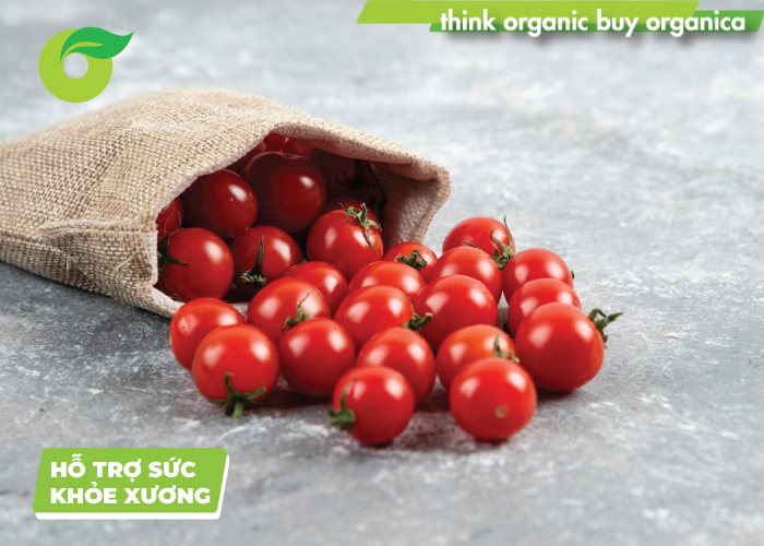Chất lycopene trong cà chua bi tăng cường sức khoẻ xương, ngăn ngừa loãng xương cơ thể