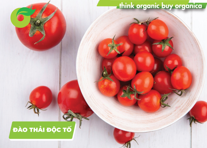 Cà chua bi đào thải độc tố trong cơ thể do có vitamin C và beta-carotene trong thành phần dinh dưỡng