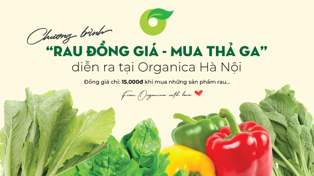 Chương trình “Rau đồng giá - Mua thả ga” chỉ 15K tại Organica Hà Nội