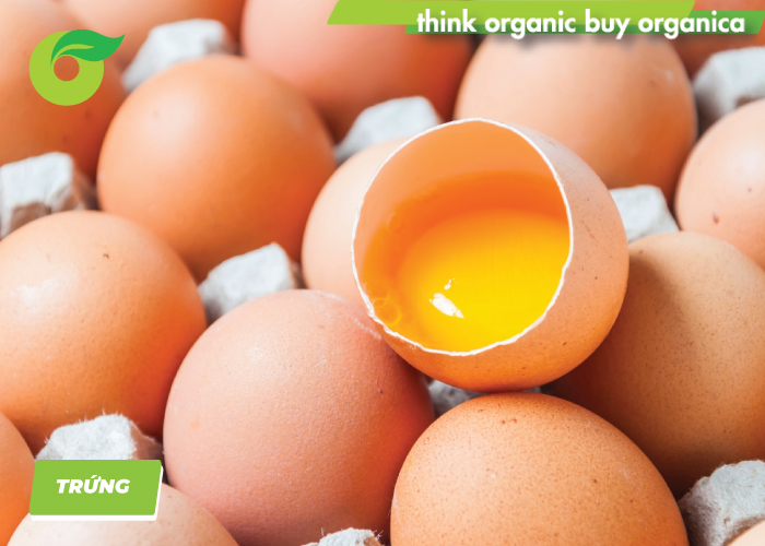 Trứng chứa chất đạm có giá trị sinh học cao, dễ hấp thụ, chứa nhiều axit amin hỗ trợ hoạt động của cơ bắp, enzyme, là chất dinh dưỡng có vai trò lớn trong việc tăng chiều cao cho trẻ.