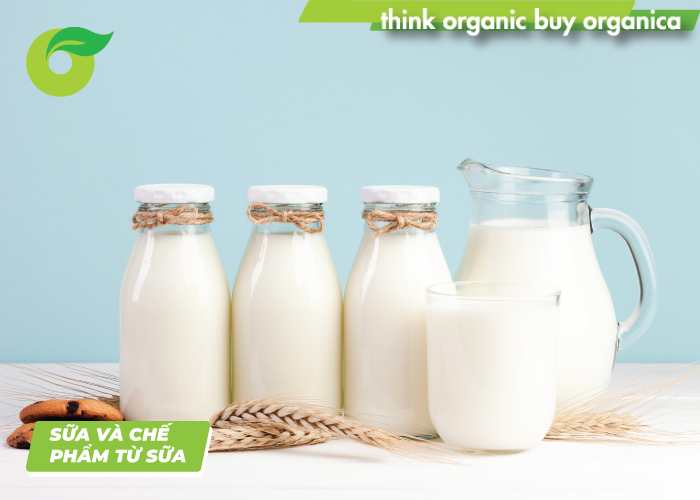 Sữa và chế phẩm từ sữa là các thực phẩm rất cần thiết cho quá trình phát triển chiều cao tuổi dậy thì