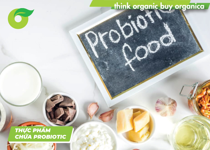 Thực phẩm chứa probiotic