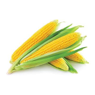 Sweet corns