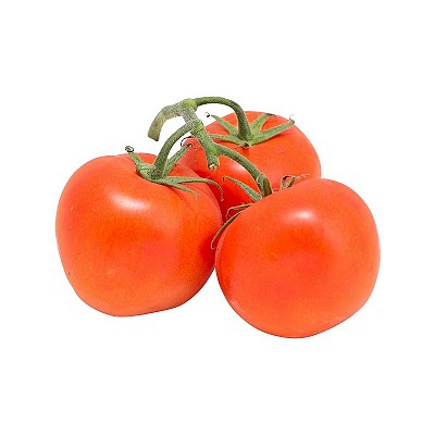 Holland tomatoes