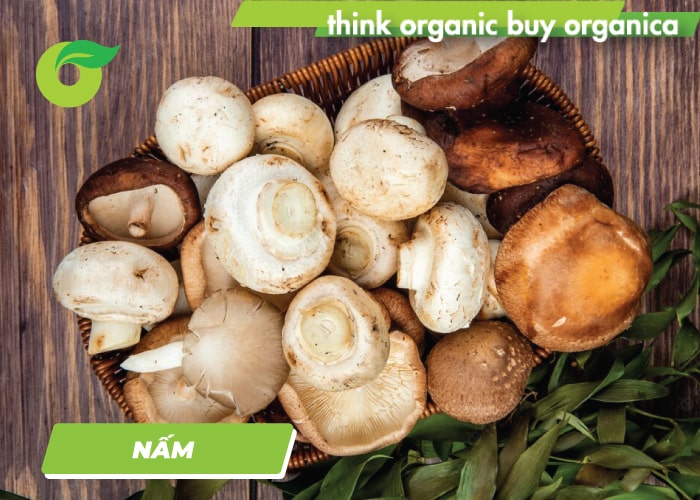 Trong nấm có nhiều vitamin, protein, muối vô cơ và cả đườ
