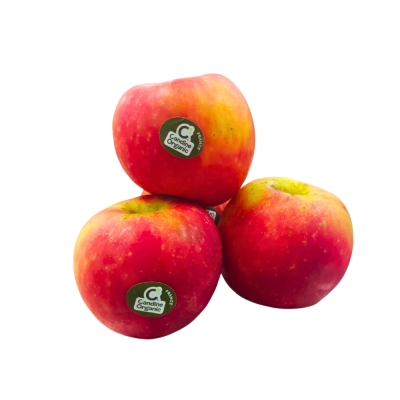 Organic Candine Apple