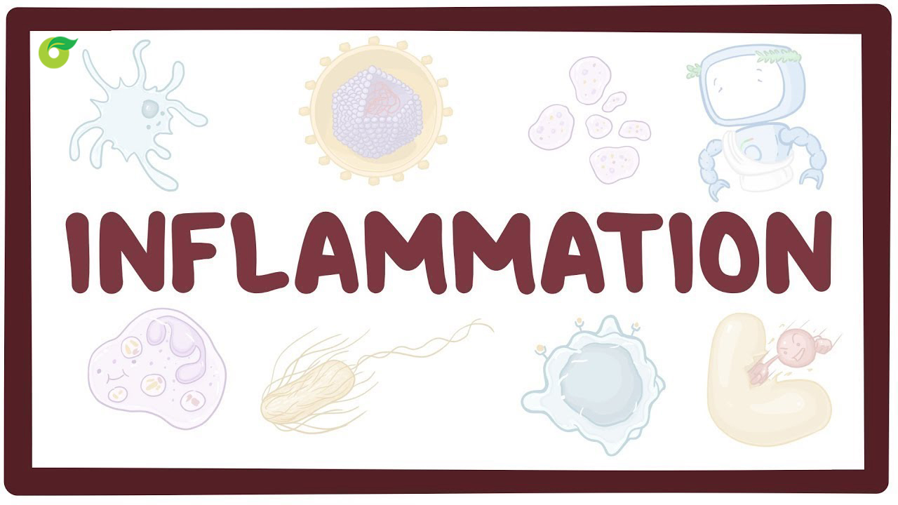 What Is Inflammation?