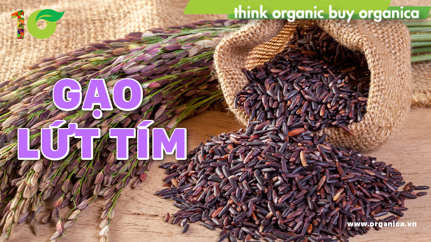 Uses of organic purple brown rice and how to cook purple brown rice