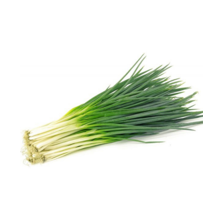 Green Onion - Organically Grown
